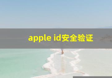 apple id安全验证